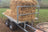 Flatbed image 10