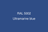 A solid blue square with centered white text reading 'RAL 5002 Ultramarine blue'.